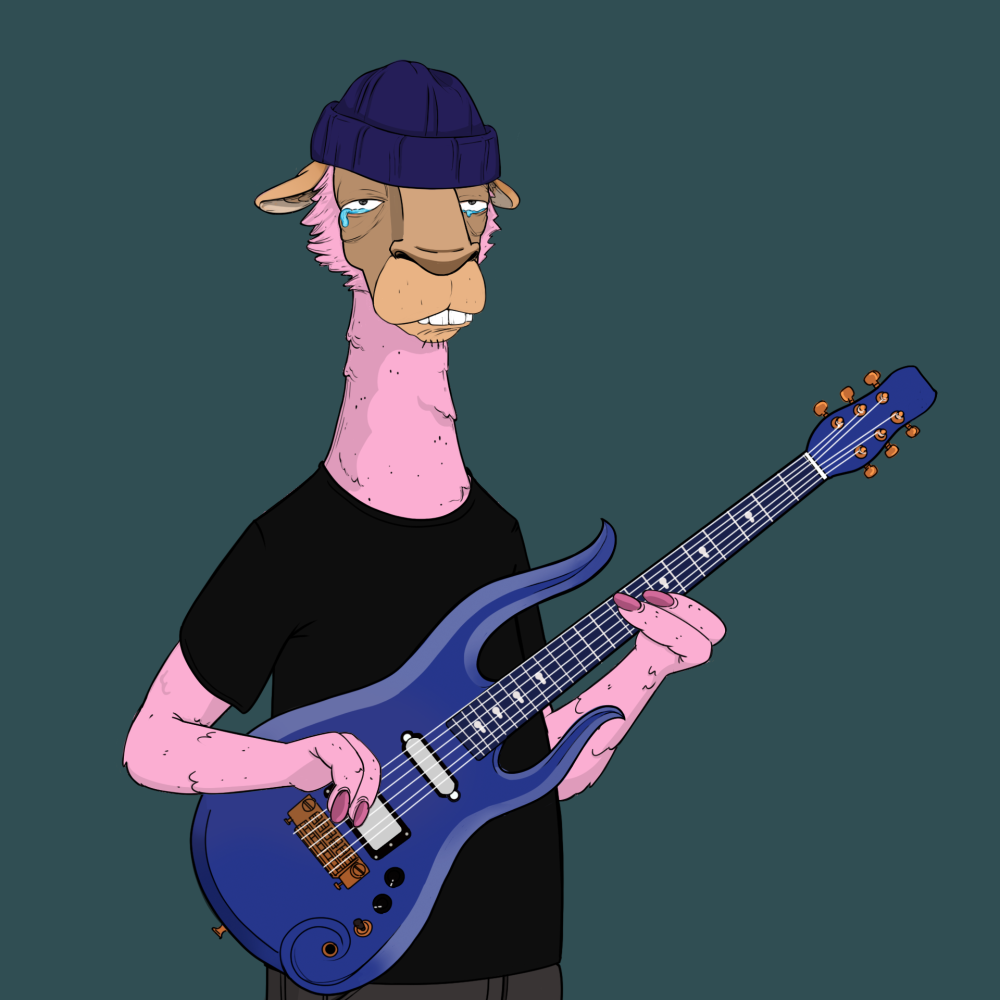 Jammin' Alpacas #8867