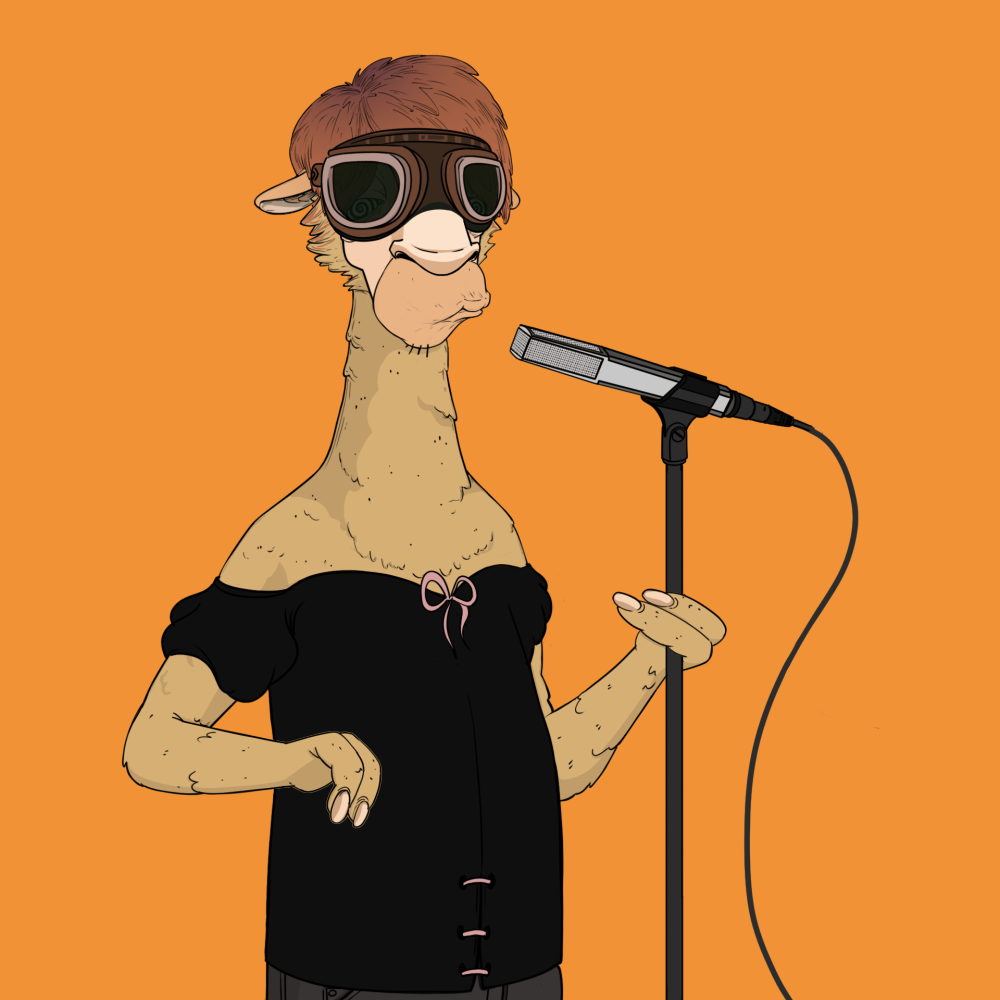 Jammin' Alpacas #8875
