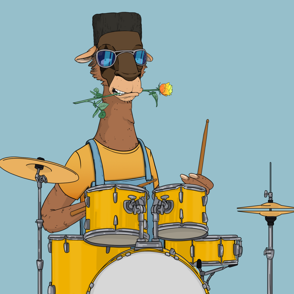 Jammin' Alpacas #8891