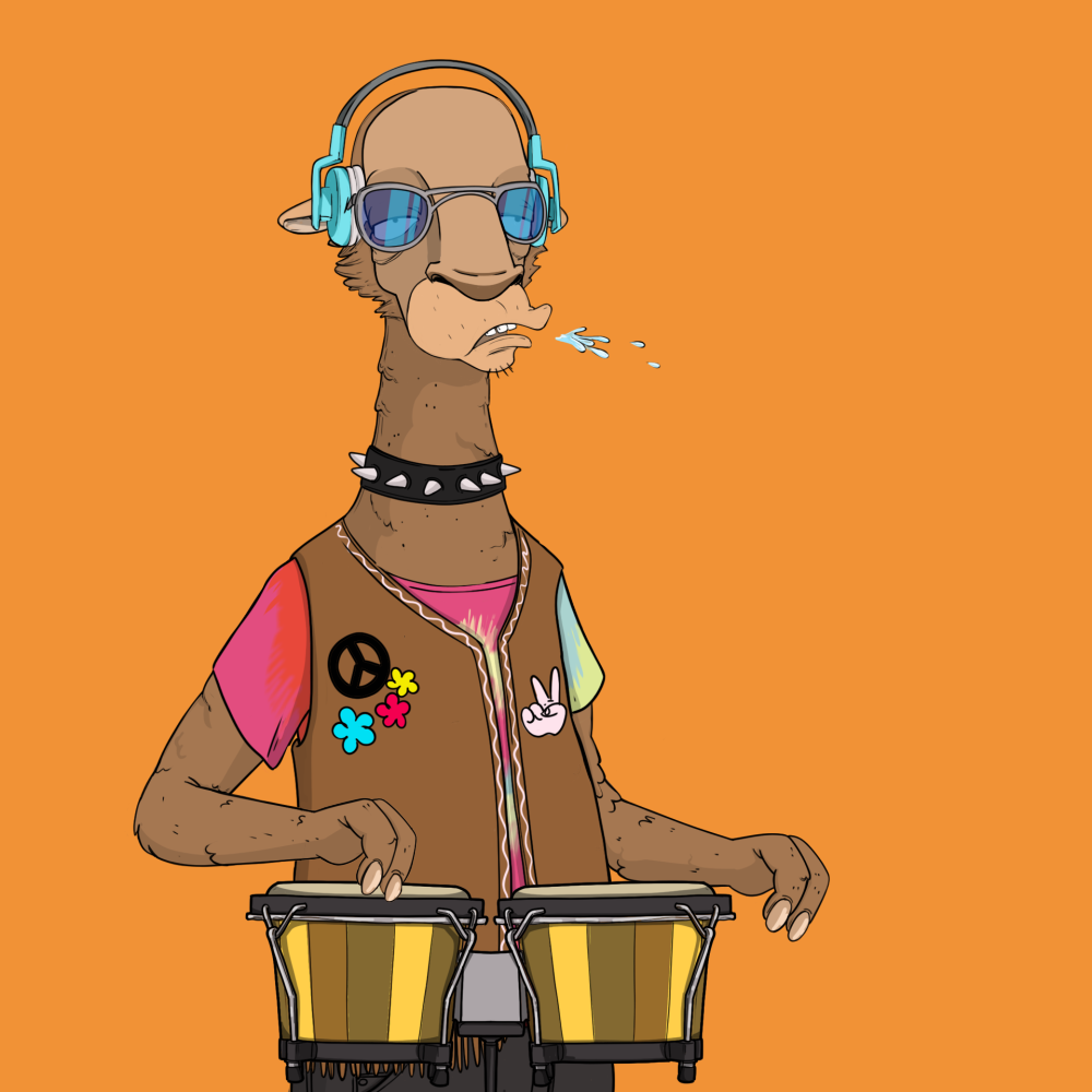 Jammin' Alpacas #8958