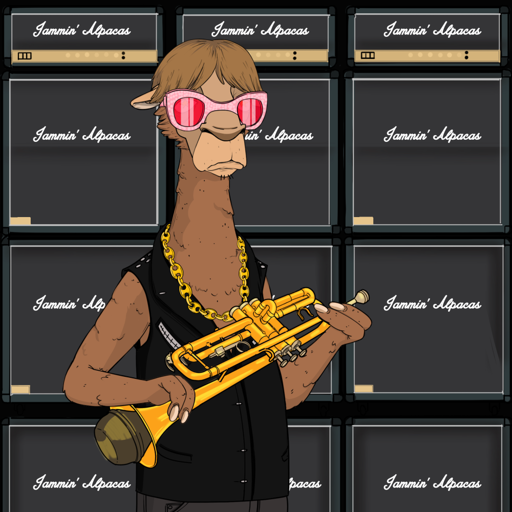 Jammin' Alpacas #8959