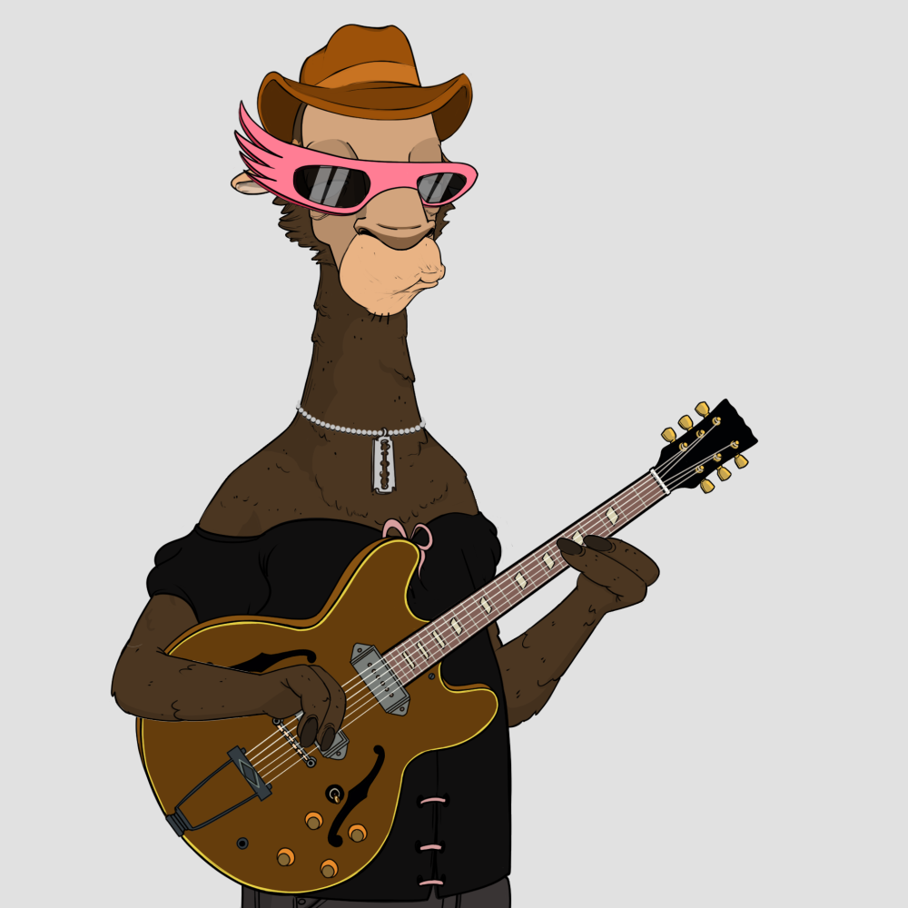 Jammin' Alpacas #8963
