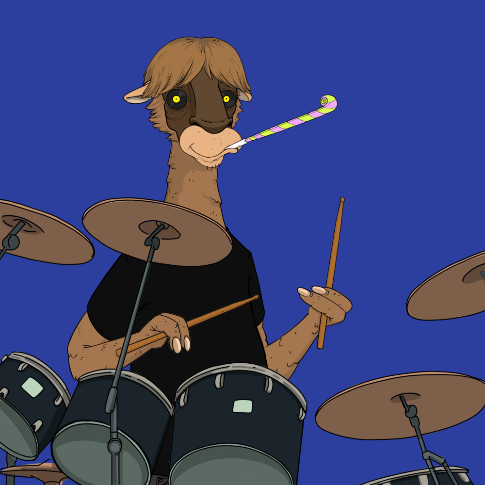 Jammin' Alpacas #8970