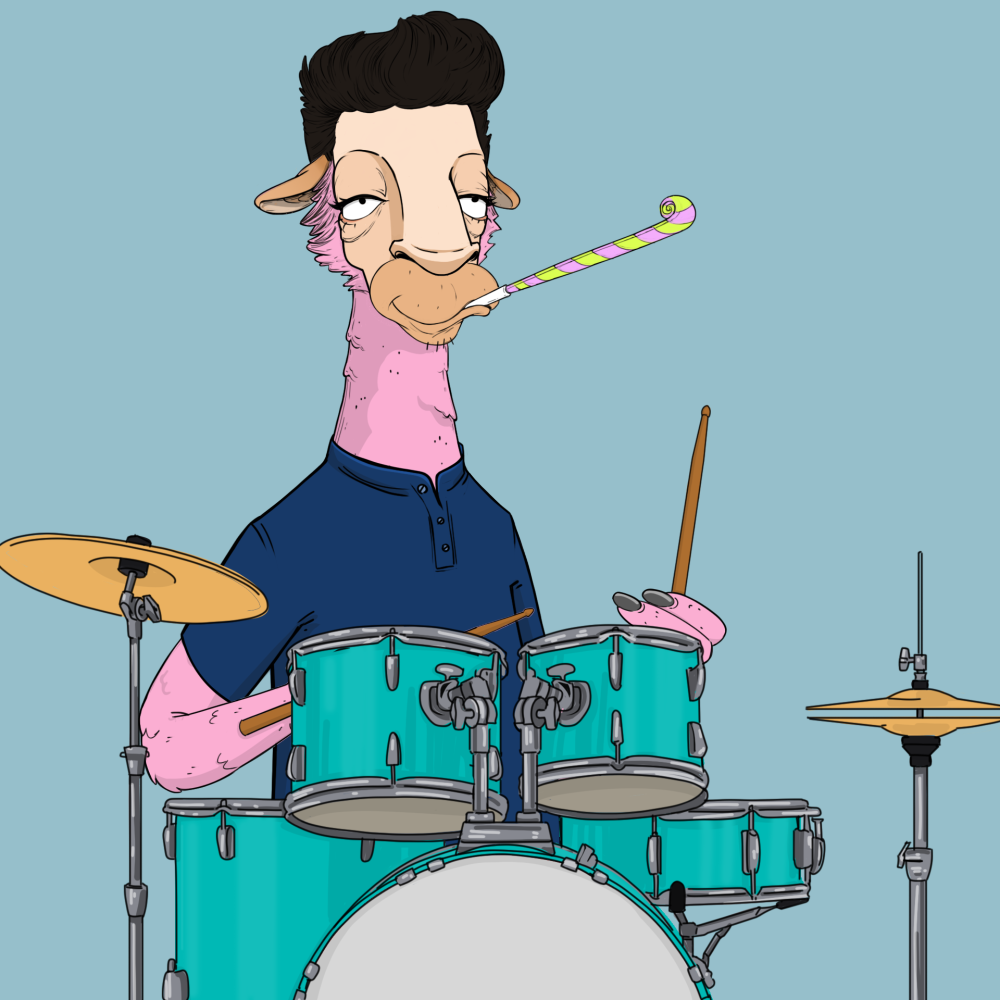 Jammin' Alpacas #8994
