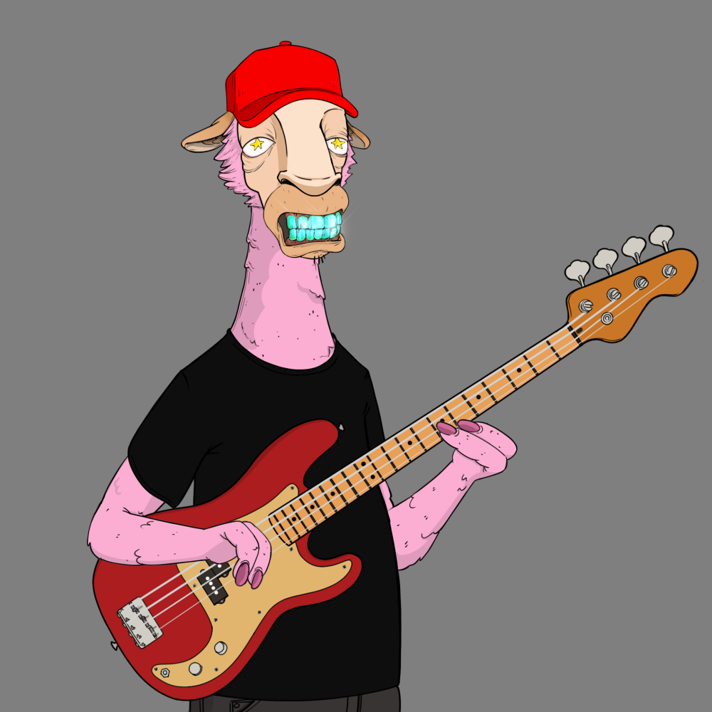 Jammin' Alpacas #9020