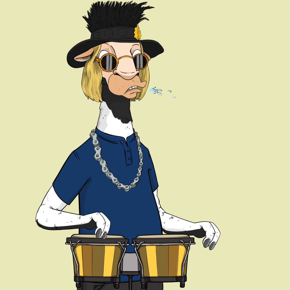 Jammin' Alpacas #9052