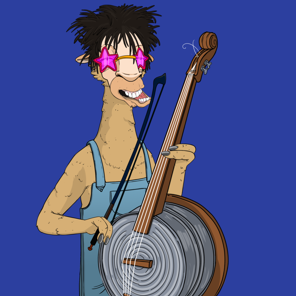 Jammin' Alpacas #9056