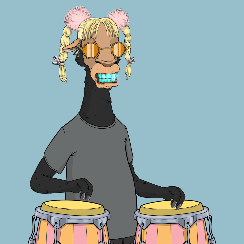 Jammin' Alpacas #9057