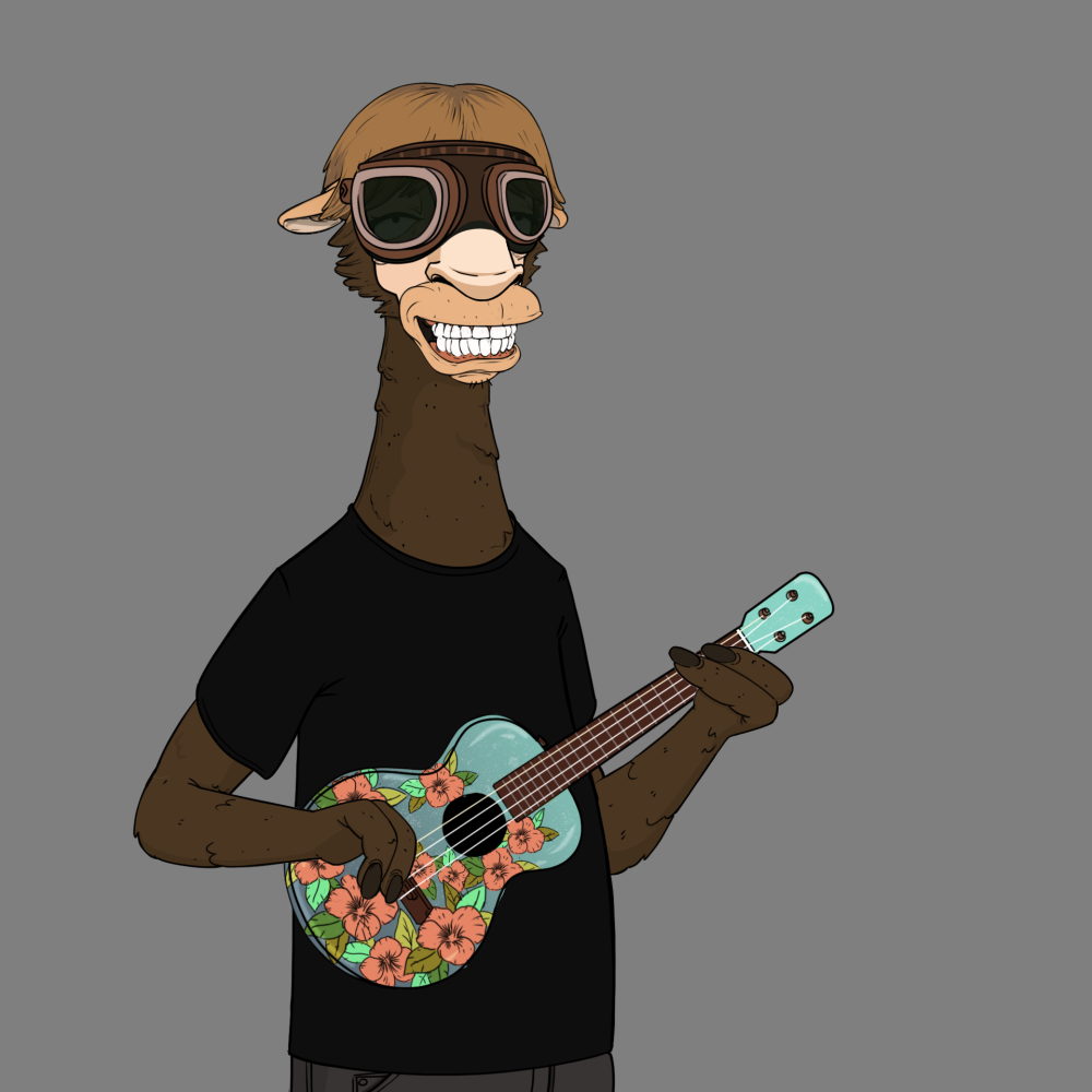 Jammin' Alpacas #9058