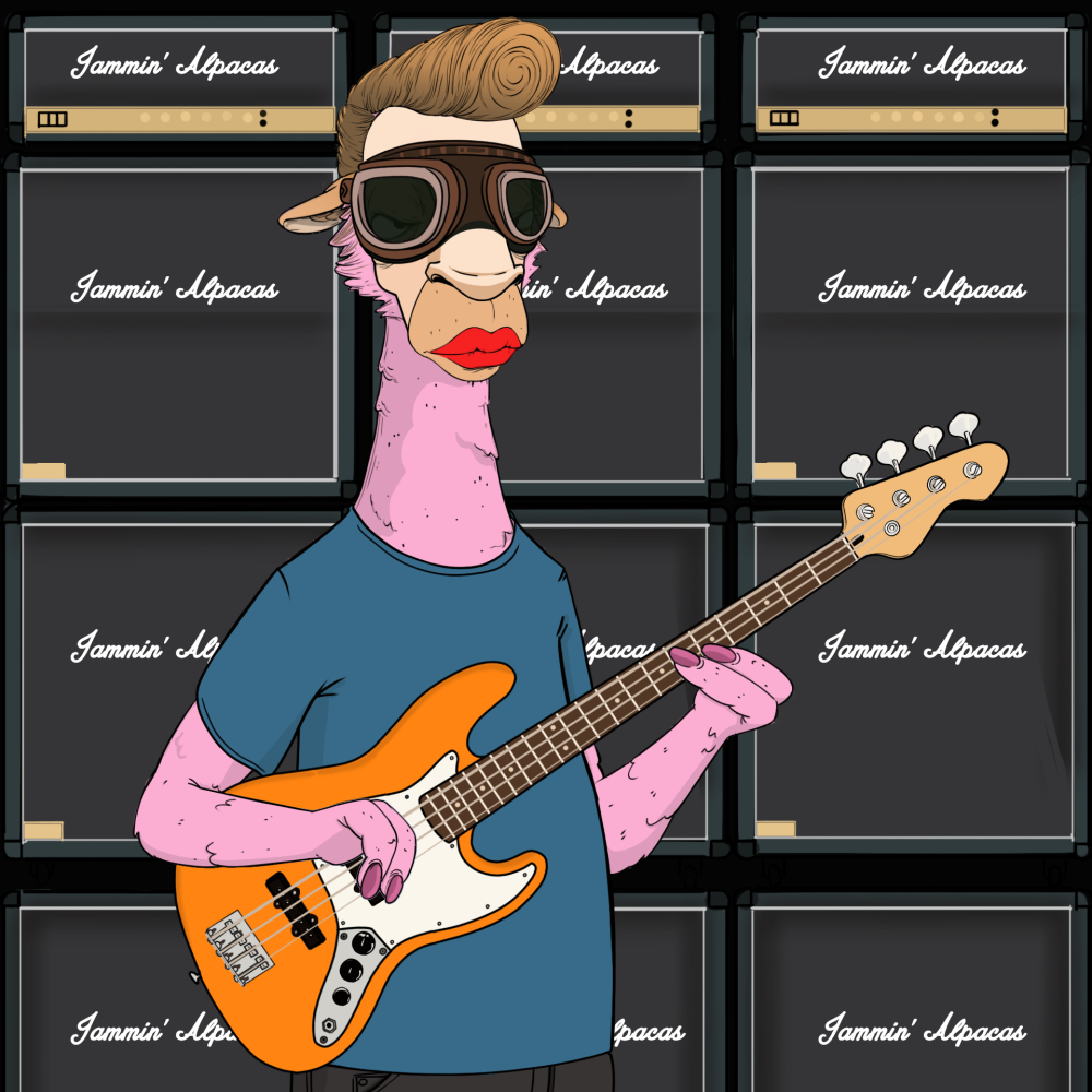 Jammin' Alpacas #9136