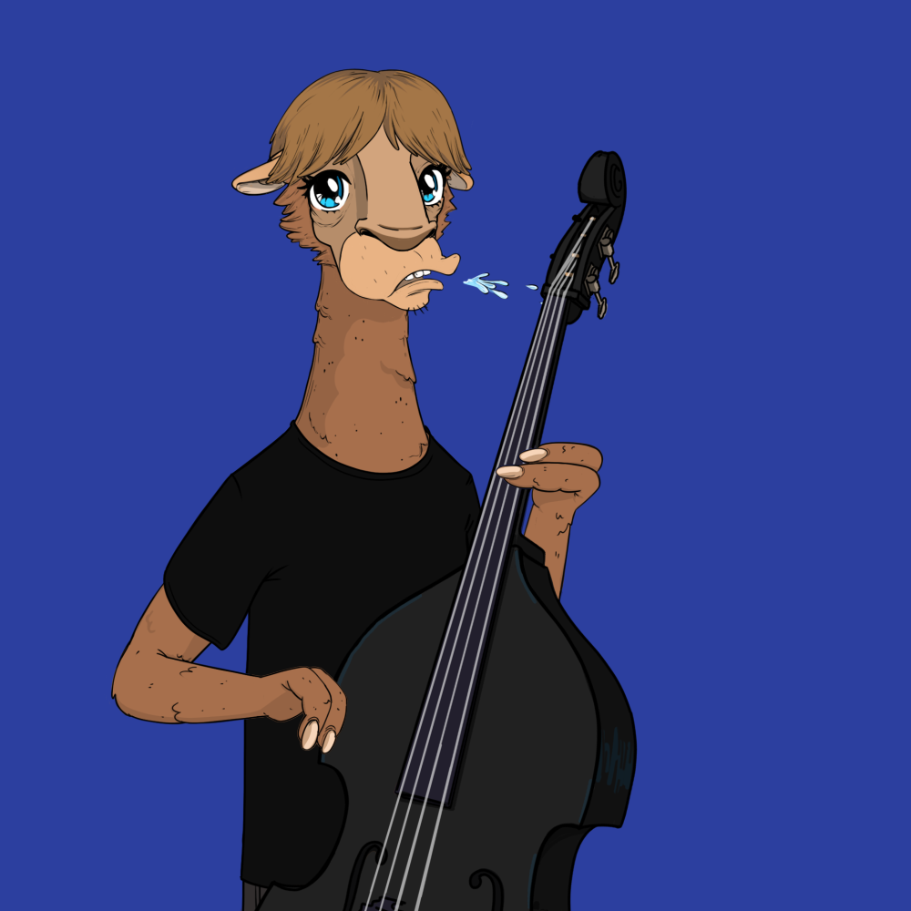 Jammin' Alpacas #9162