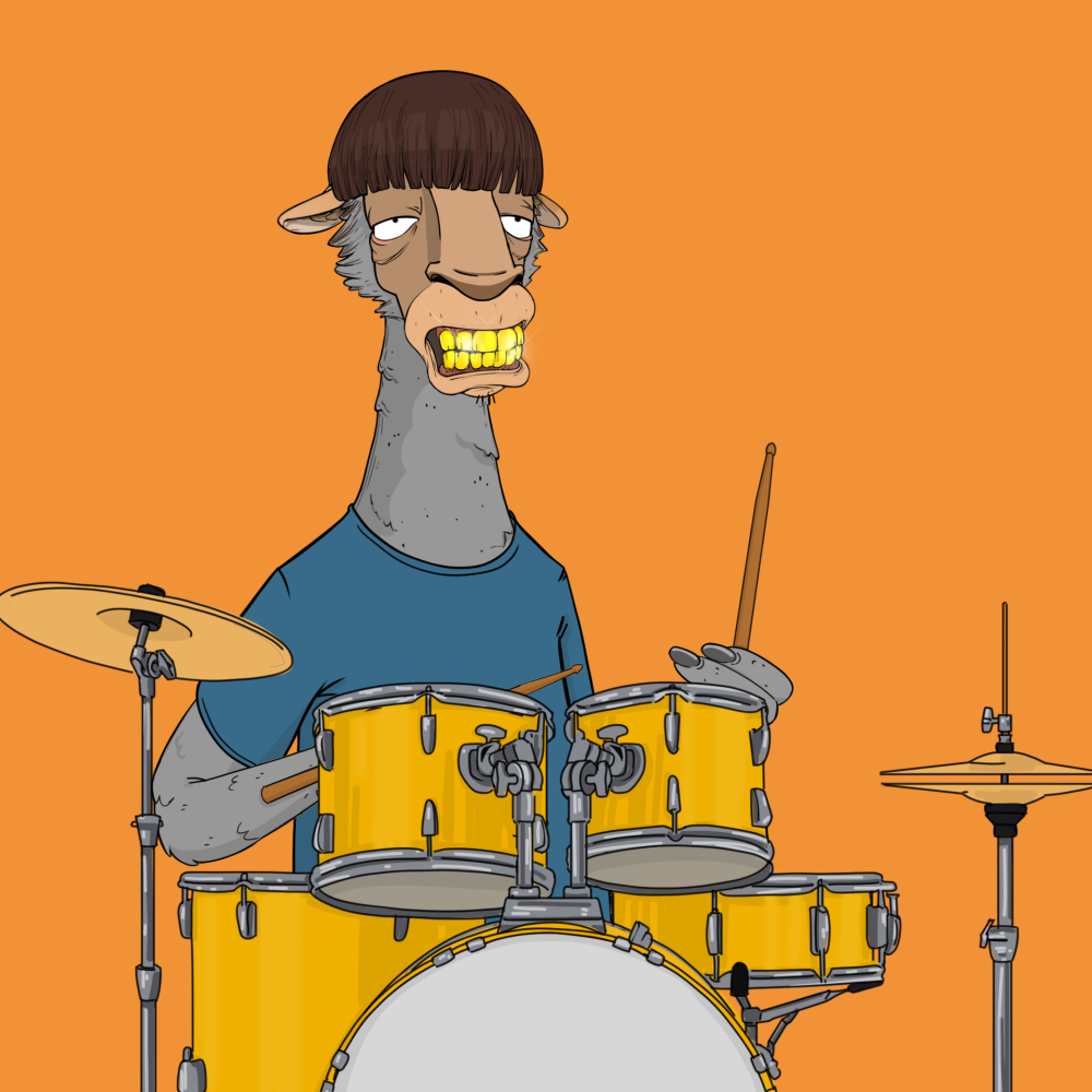 Jammin' Alpacas #9244