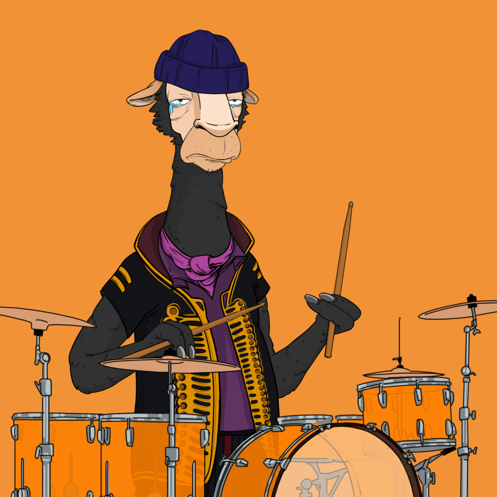 Jammin' Alpacas #9294