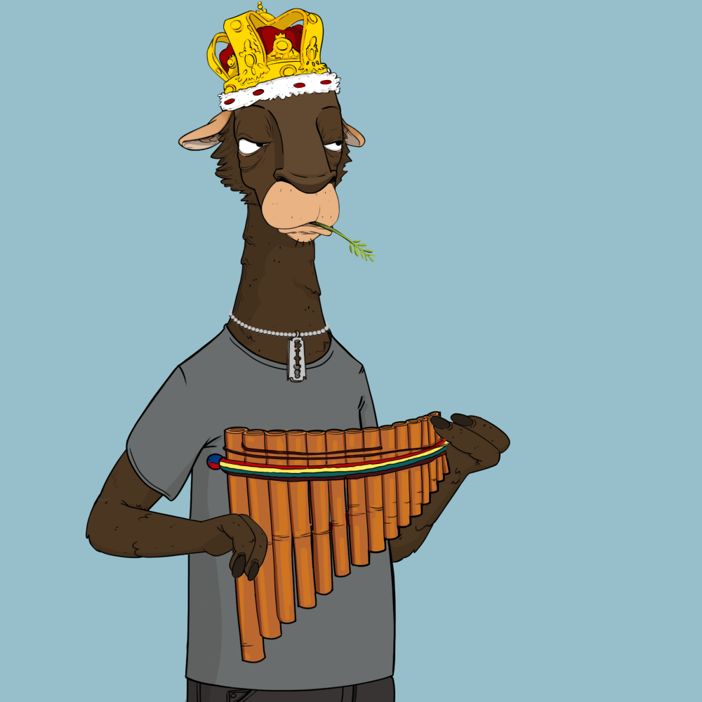 Jammin' Alpacas #9406