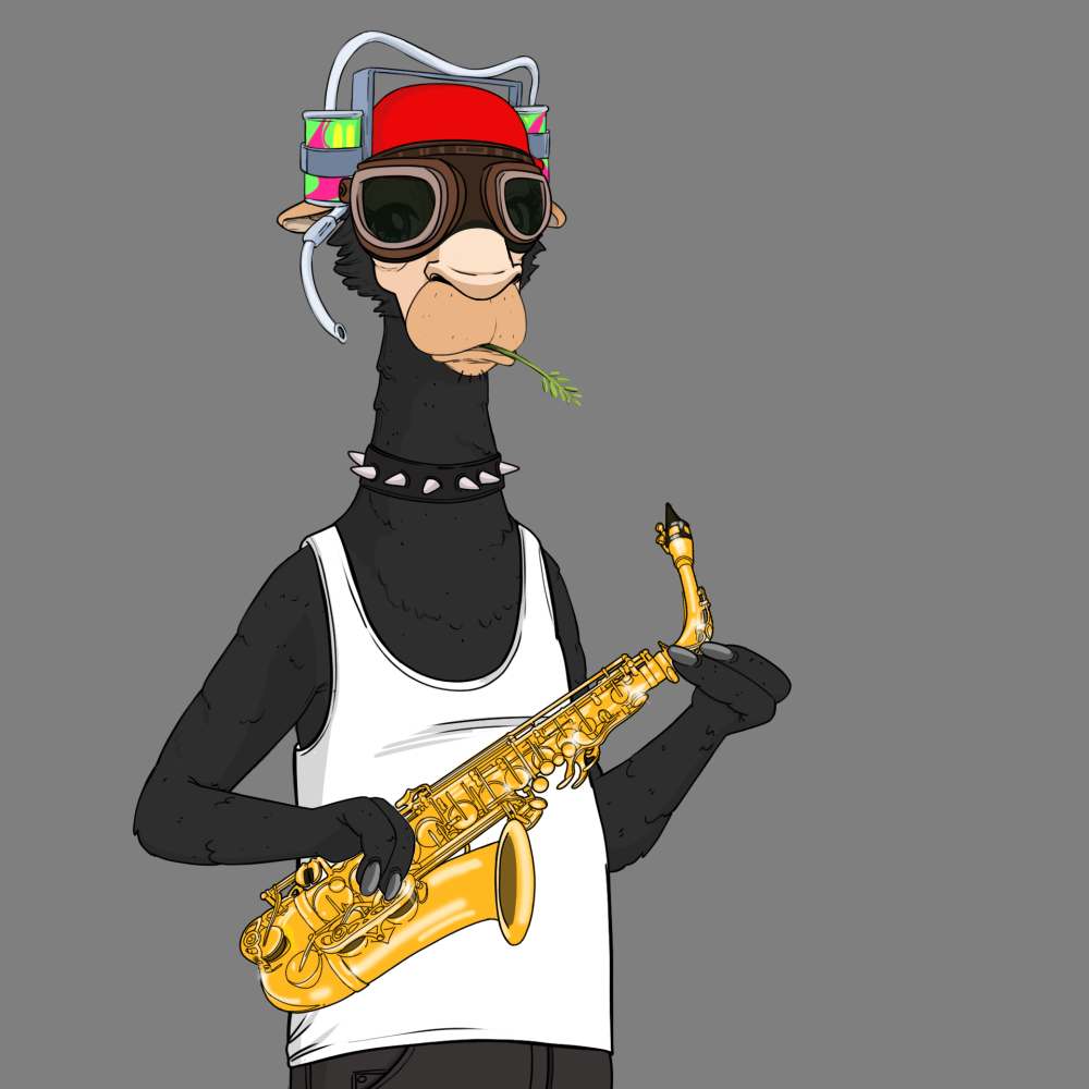 Jammin' Alpacas #9415