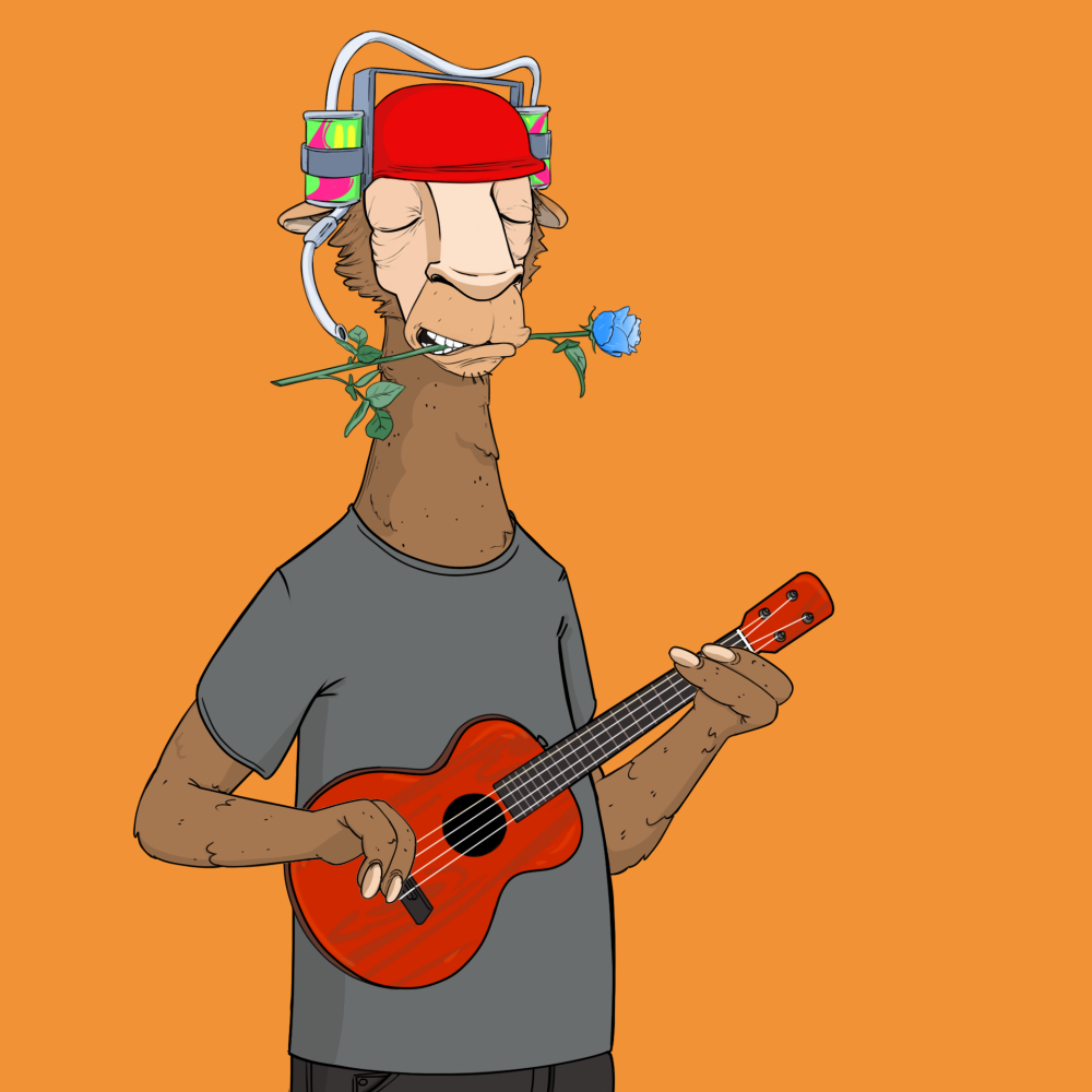 Jammin' Alpacas #9444