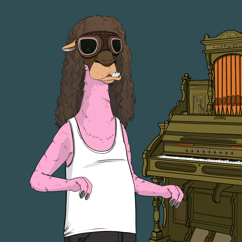 Jammin' Alpacas #949