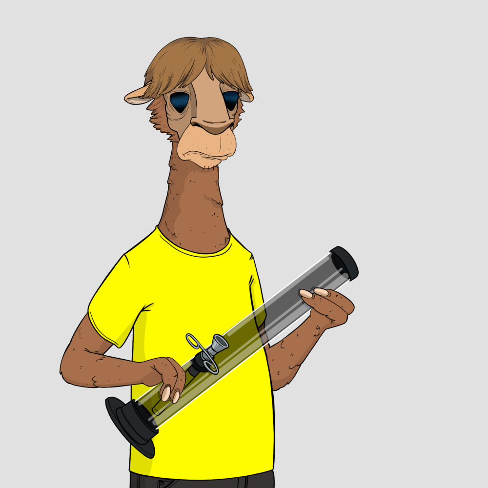 Jammin' Alpacas #9514