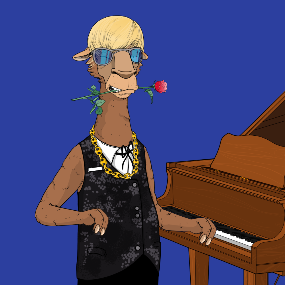 Jammin' Alpacas #9580