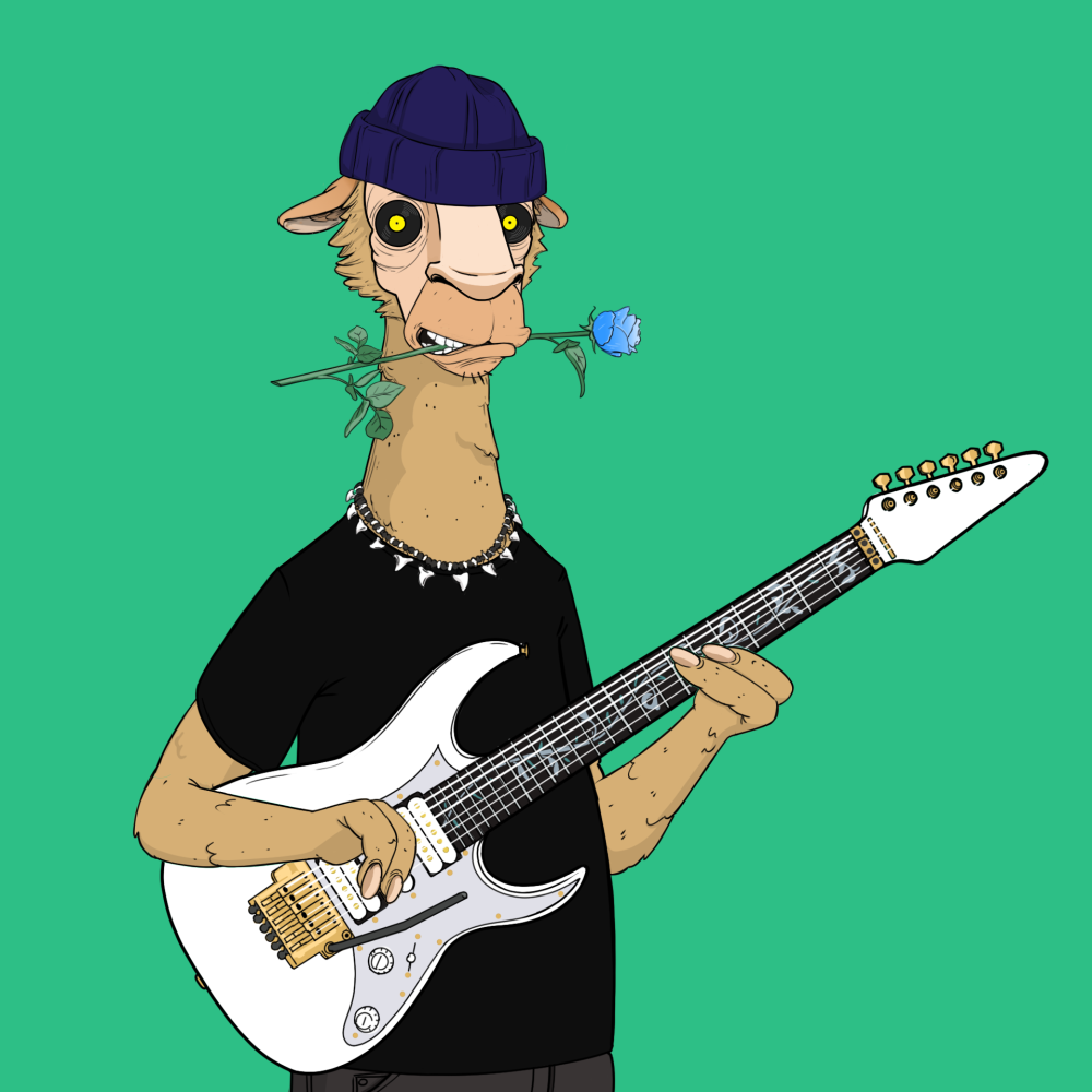 Jammin' Alpacas #9595