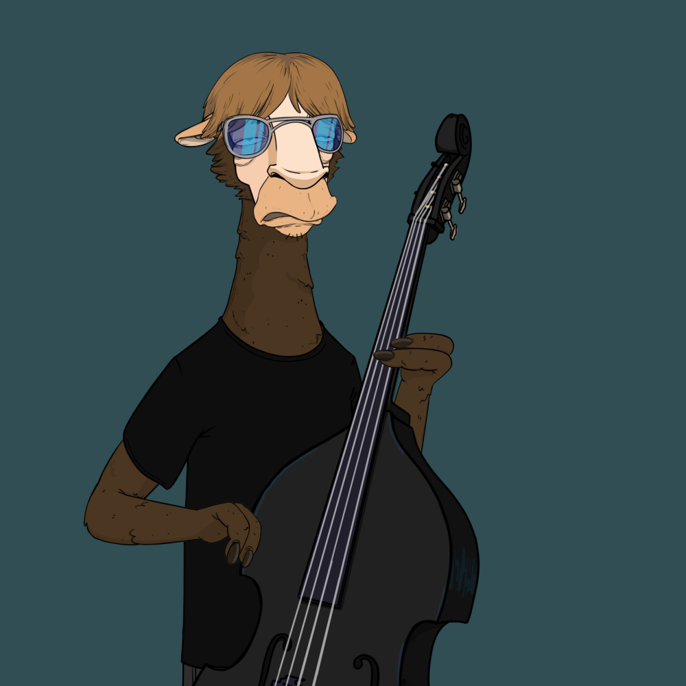 Jammin' Alpacas #9610