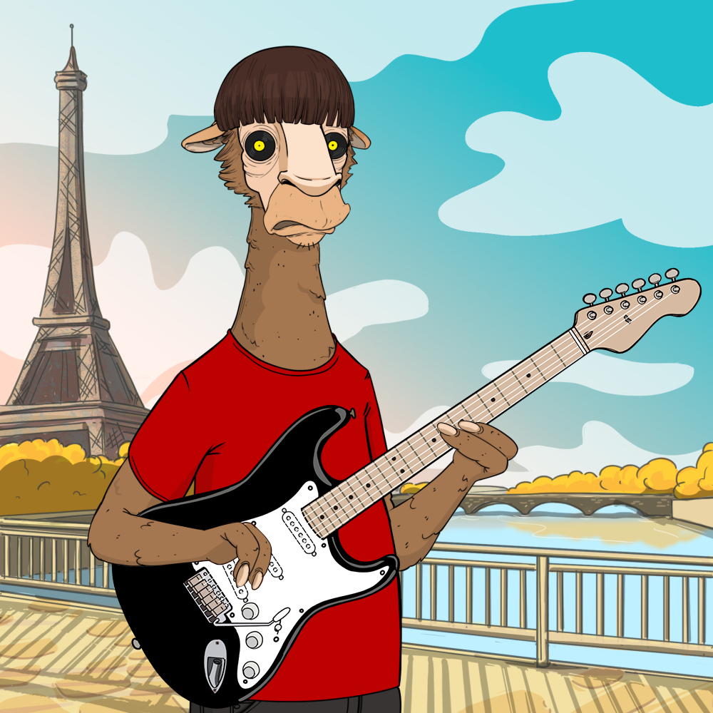 Jammin' Alpacas #9647