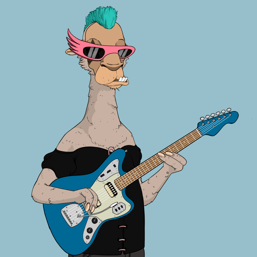 Jammin' Alpacas #9669