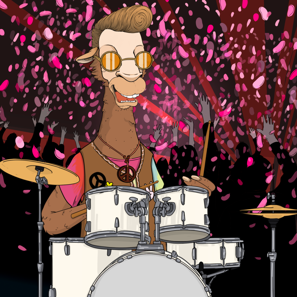 Jammin' Alpacas #9771