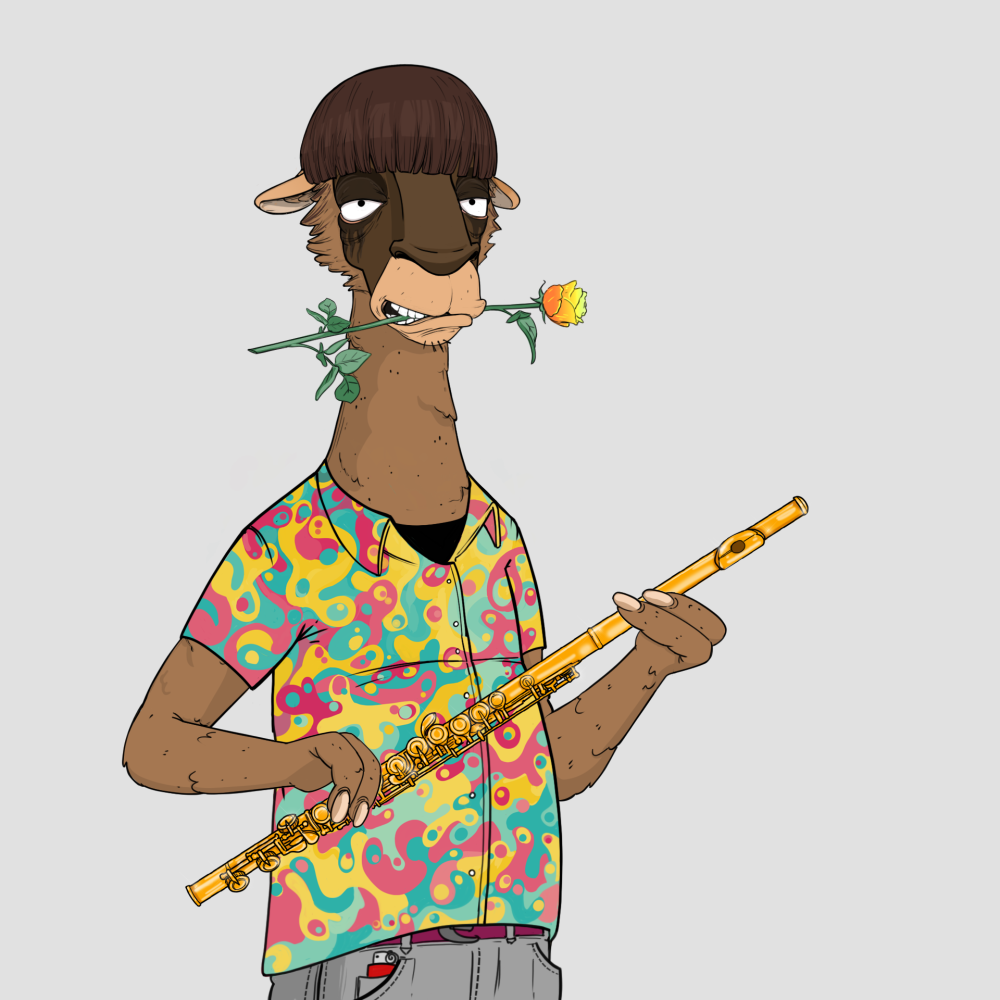 Jammin' Alpacas #9803