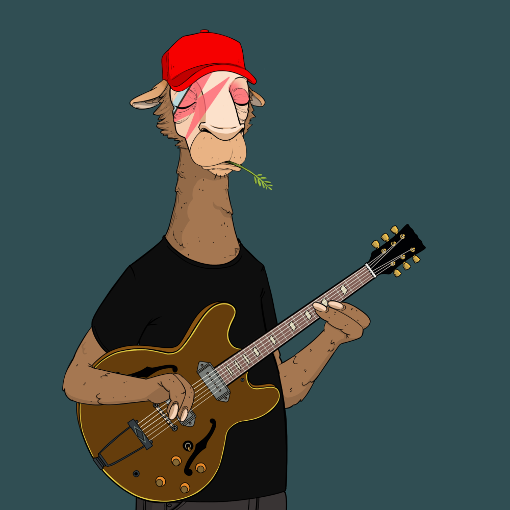 Jammin' Alpacas #9888