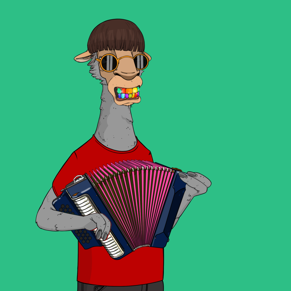 Jammin' Alpacas #9971